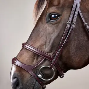 Cabezada combinada con muserola Dy'on New English Collection image-4