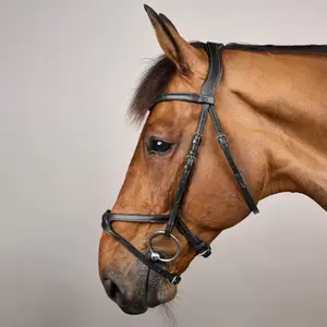 Riding bridle Dy'on X-Fit New English Collection image-1