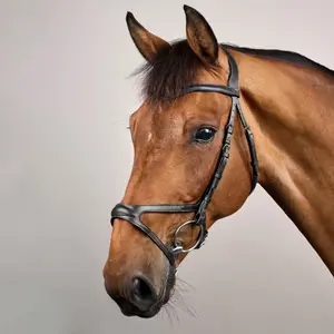 Riding bridle Dy'on X-Fit New English Collection image-3