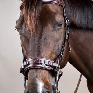 Hackamore for horse Dy'on New English Collection image-1