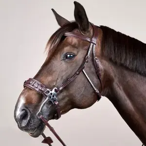 Hackamore voor paard Dy'on New English Collection image-4