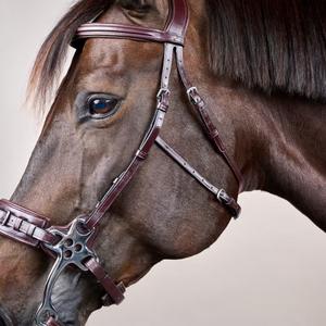 Hackamore for horse Dy'on New English Collection image-2