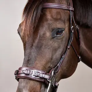 Hackamore voor paard Dy'on New English Collection image-6
