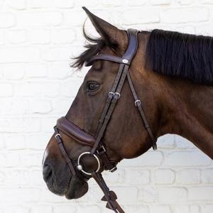 Reithalfter aus weichem Leder Dy'on image-1