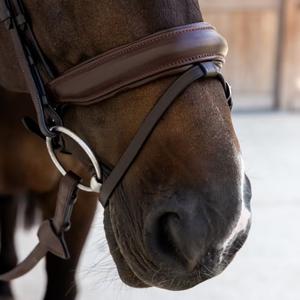 Reithalfter aus weichem Leder Dy'on image-2