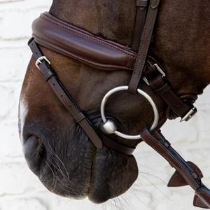 Reithalfter aus weichem Leder Dy'on image-3