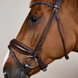 Soft leather wide noseband riding bridle Dy'on image-4