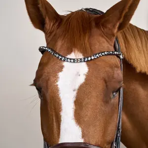 Soft leather wide noseband riding bridle Dy'on image-3