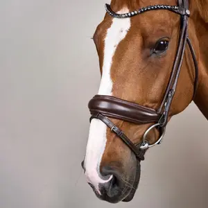 Soft leather wide noseband riding bridle Dy'on image-1