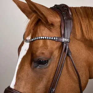 Soft leather wide noseband riding bridle Dy'on image-2