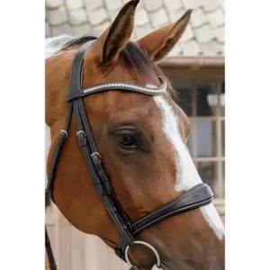 Anatomische leren neusriem voor paarden zonder onderkaak Dy'on image-1