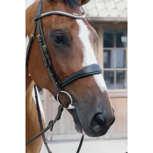 Anatomische leren neusriem voor paarden zonder onderkaak Dy'on image-2