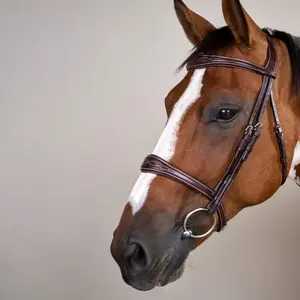 Anatomische leren neusriem voor paarden zonder onderkaak Dy'on image-2