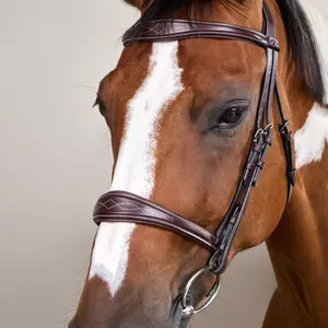 Anatomische leren neusriem voor paarden zonder onderkaak Dy'on image-3