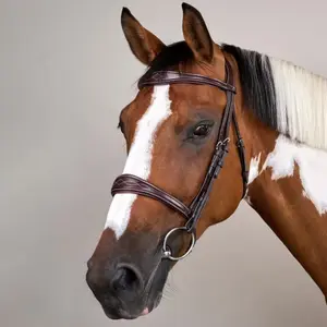 Anatomische leren neusriem voor paarden zonder onderkaak Dy'on image-1