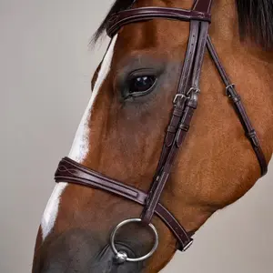 Anatomische leren neusriem voor paarden zonder onderkaak Dy'on image-4