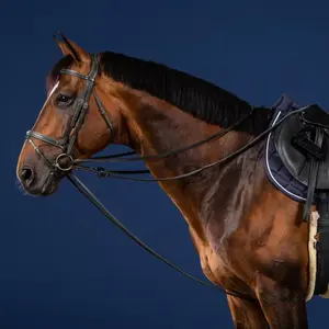 Rênes pour cheval tout cuir Dy'on US Collection image-0