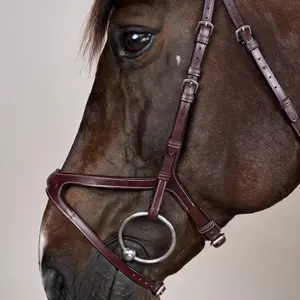 Riding bridle Dy'on X-Fit US Collection image-1