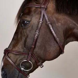 Riding bridle Dy'on X-Fit US Collection image-2