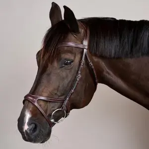 Riding bridle Dy'on X-Fit US Collection image-3