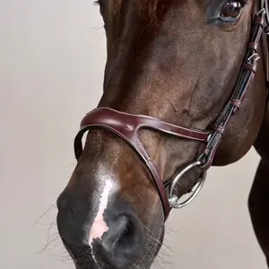 Riding bridle Dy'on X-Fit US Collection image-4