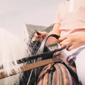 Leather horse reins Dy'on Working Collection image-1