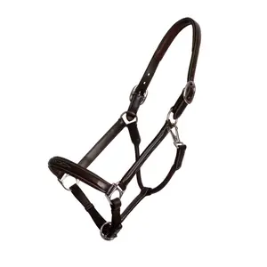 Leather halter for horses Dy'on Fancy Working Collection image-0