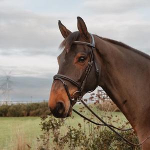 Rubber reins for horse with 7 leather stops, ring closure, without collar Dy'on image-1