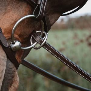 Rubber reins for horse with 7 leather stops, ring closure, without collar Dy'on image-2