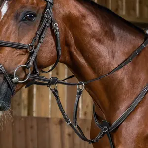 Martingala per cavalli Dy'on Working image-0