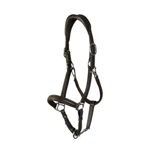 Licol pour cheval en cuir Dy'on Working image-0