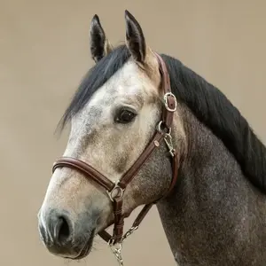 Licol pour cheval en cuir Dy'on Working image-1