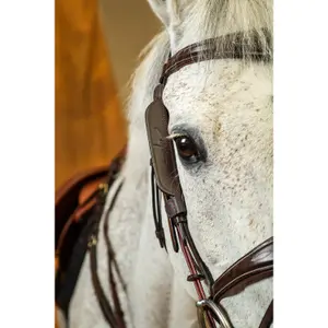 Flensbevestigingen Dy'on Focus image-2