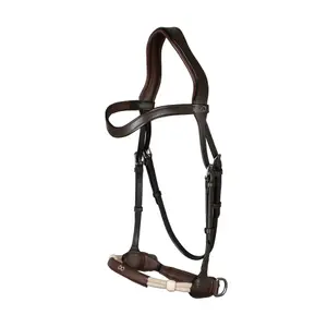 Bitless bridles for horses Dy'on image-0