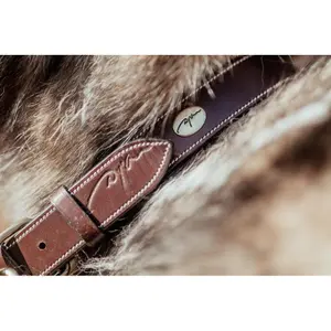 Collar de perro de cuero plano Dy'on image-2