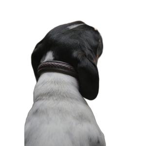 dc31ebrl-collar-trenzado-para-perro-dy-on-marron
