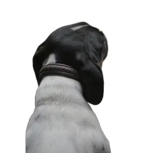 Geflochtenes Hundehalsband Dy'on