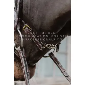 Anatomical combined bridle for horse with chains Dy'on image-1