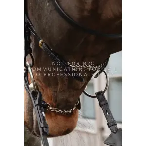 Mexican horse noseband with chains Dy'on image-1