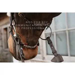 Mexican horse noseband with chains Dy'on image-1