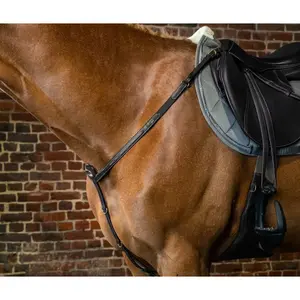 Collier de chasse pour poney Dy'on image-0