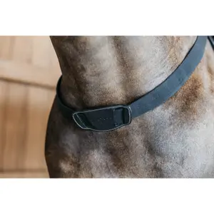 Elastische borstplaat Dy'on image-2