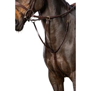 Martingale s kroužky Dy'on image-1