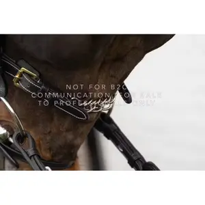 Kette 5/8" Dy'on image-1