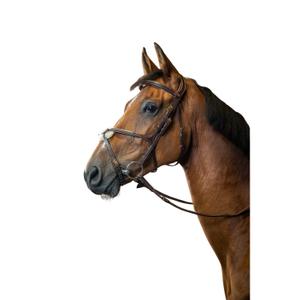 Anatomische kruisneusriem hoofdstel Dy'on image-1