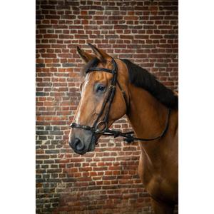 German adjustable noseband bridles Dy'on image-1