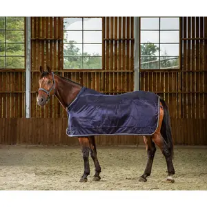 Fliegendecke für Pferde Dy'on image-0