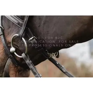 Combined bridle for horse with chains Dy'on image-1