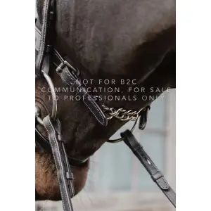 Anatomische Kombinationszäumung für Pferde mit Ketten Dy'on image-1