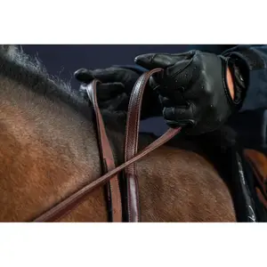 Leather horse reins Dy'on Hunter 1/2 image-1